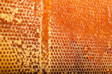 Load image into Gallery viewer, Toru (トル) マヌカハニー MGO1200+ (250g) Toru Manuka Honey