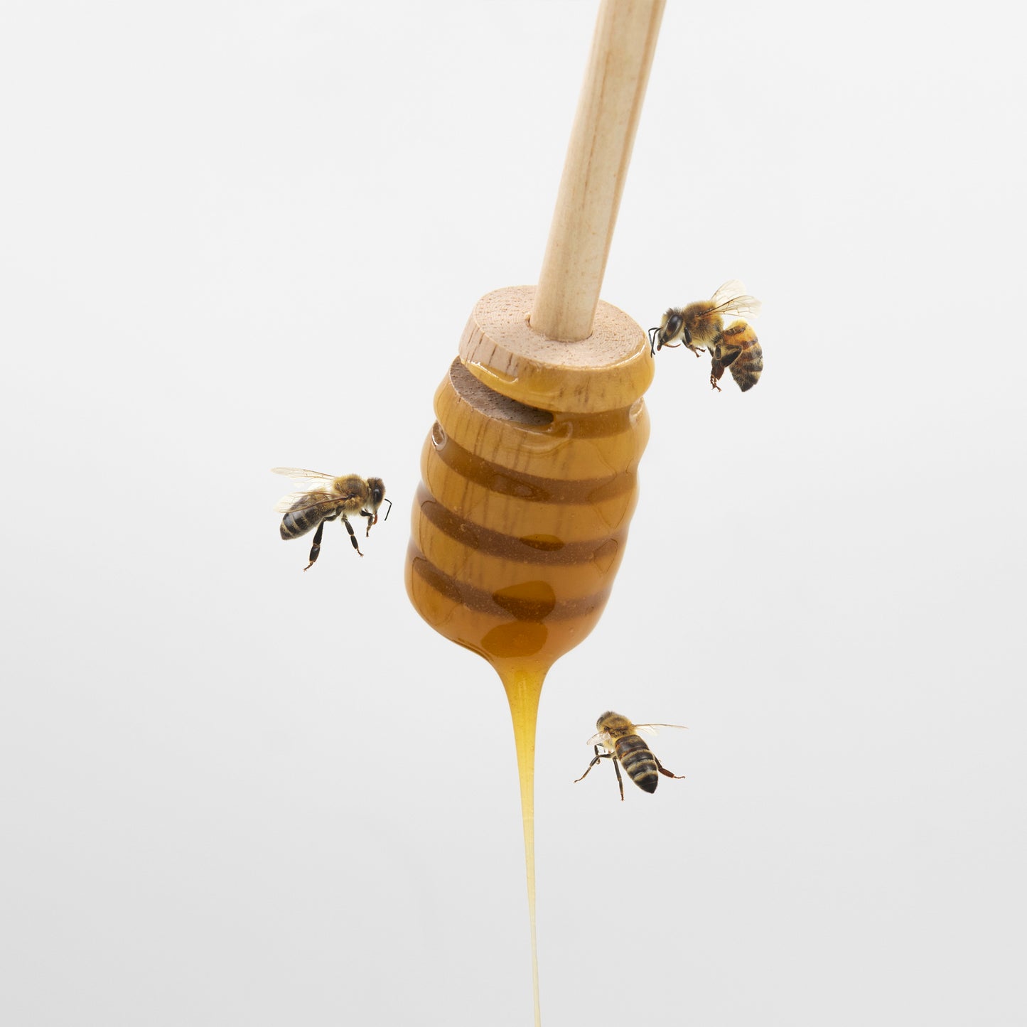 Toru (トル) マヌカハニー MGO830+ (250g) Toru Manuka Honey