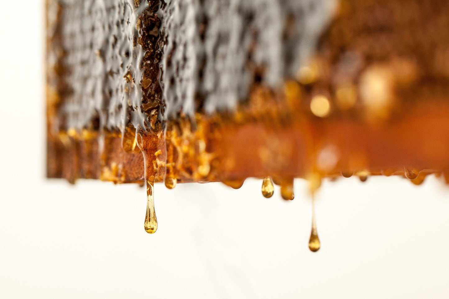 Toru (トル) マヌカハニー MGO100+ （250g） Toru Manuka Honey