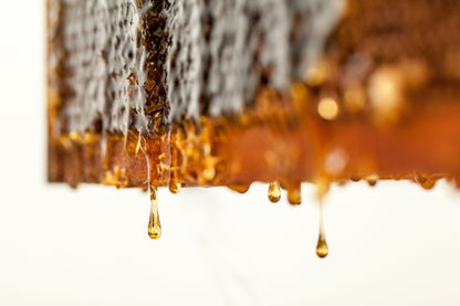 Toru (トル) マヌカハニー MGO1200+ (250g) Toru Manuka Honey