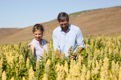 キウイキヌア創業者の写真