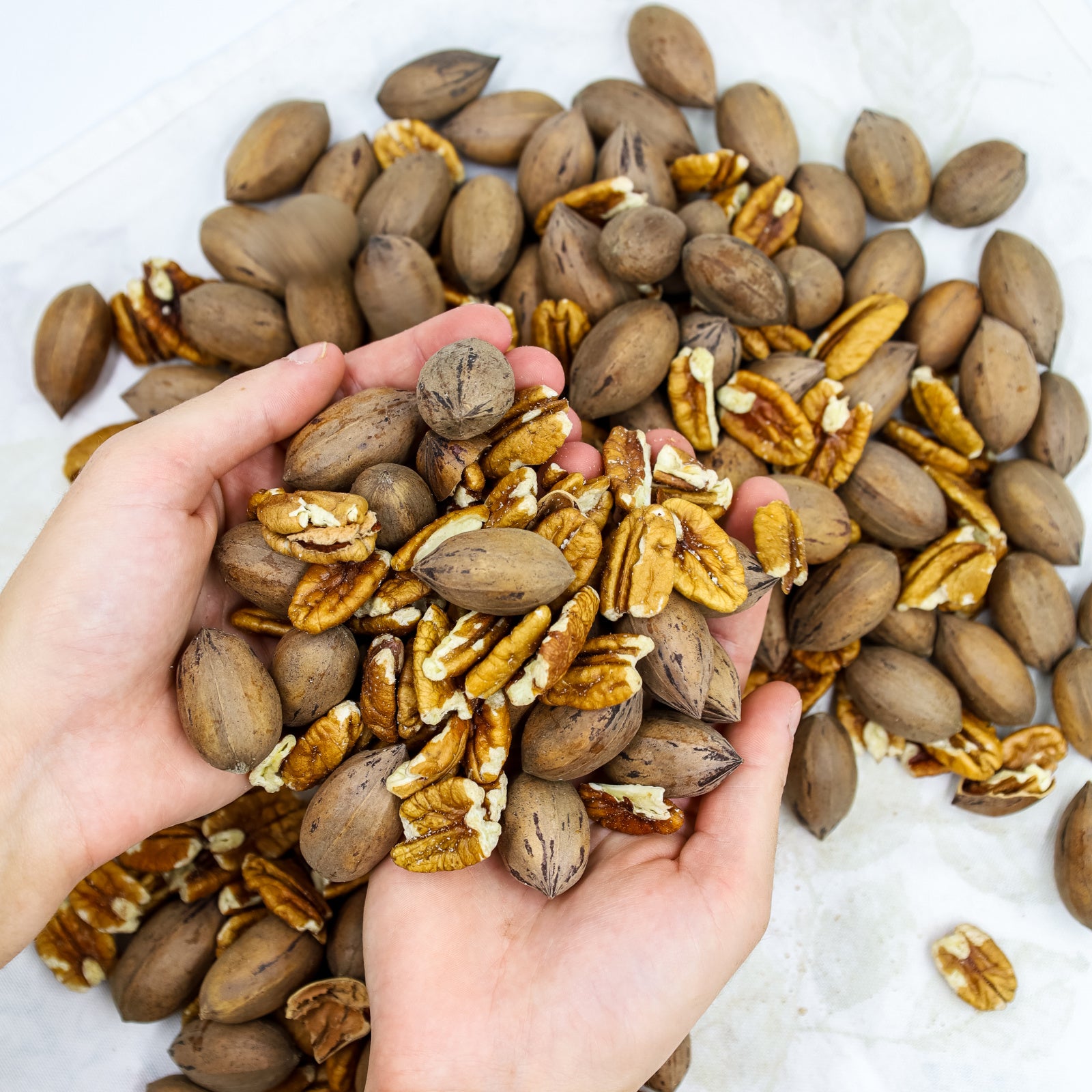 Pikan 生ピーカンナッツ 200g - Raw Pecan Nuts – Wholesum Japan