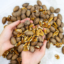 Load image into Gallery viewer, Pikan 生ピーカンナッツ　80g - Raw Pecan Nuts
