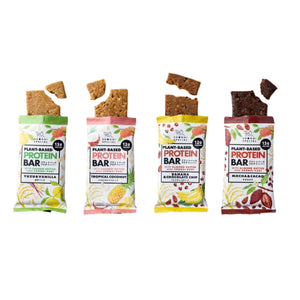 【送料無料】プラントベースプロテインバー // 12個セット　Plant Base Protein Bar 12 Bar Pack