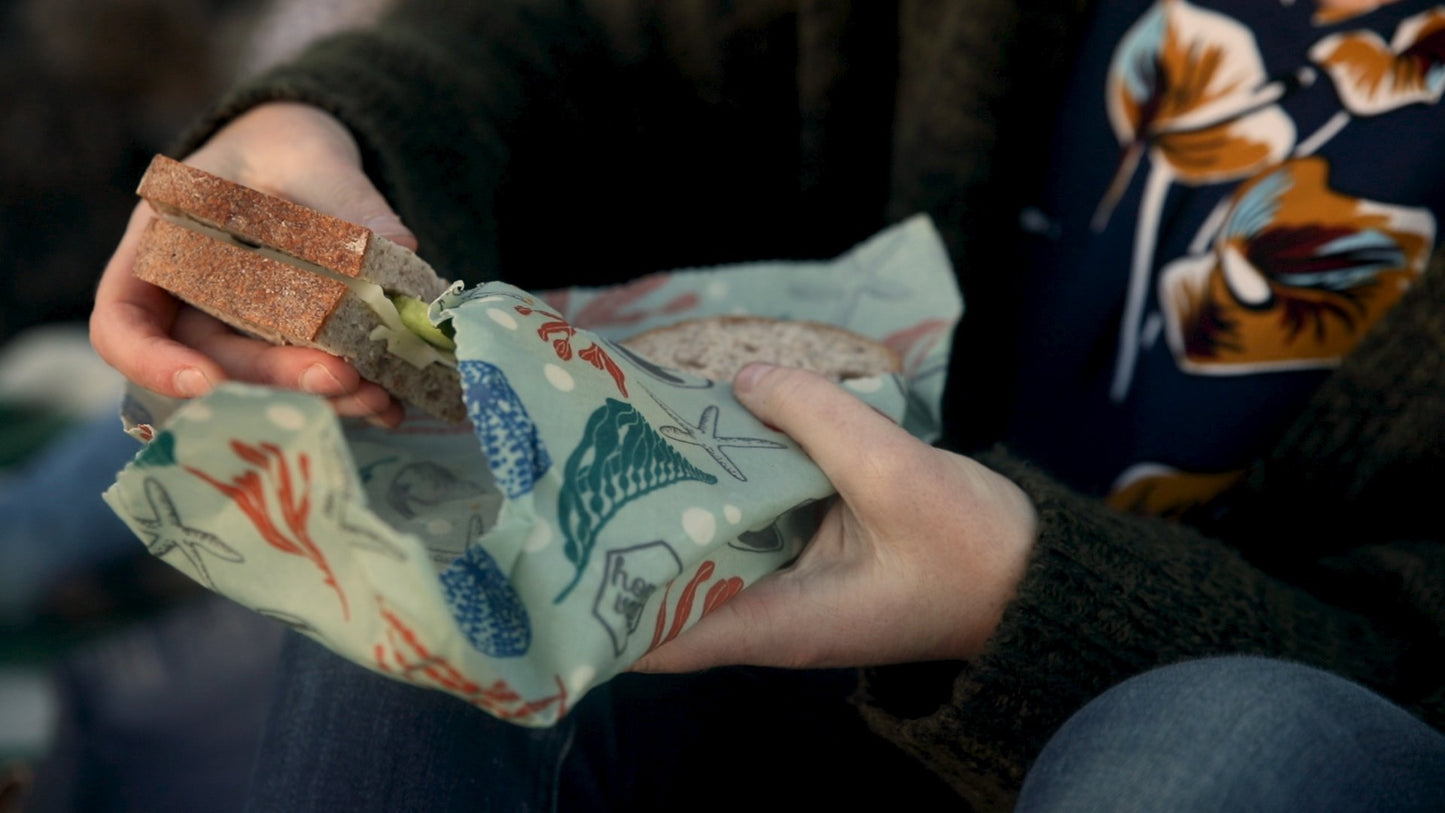 みつろうエコラップ 3-Pack (オーガニックコットン100%生地) (S, M, L 各1枚）Honeywrap 3-Pack