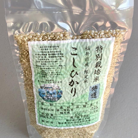 福井県産コシヒカリ玄米(4合600g）農薬・化学肥料不使用  Chemical-free Brown Rice