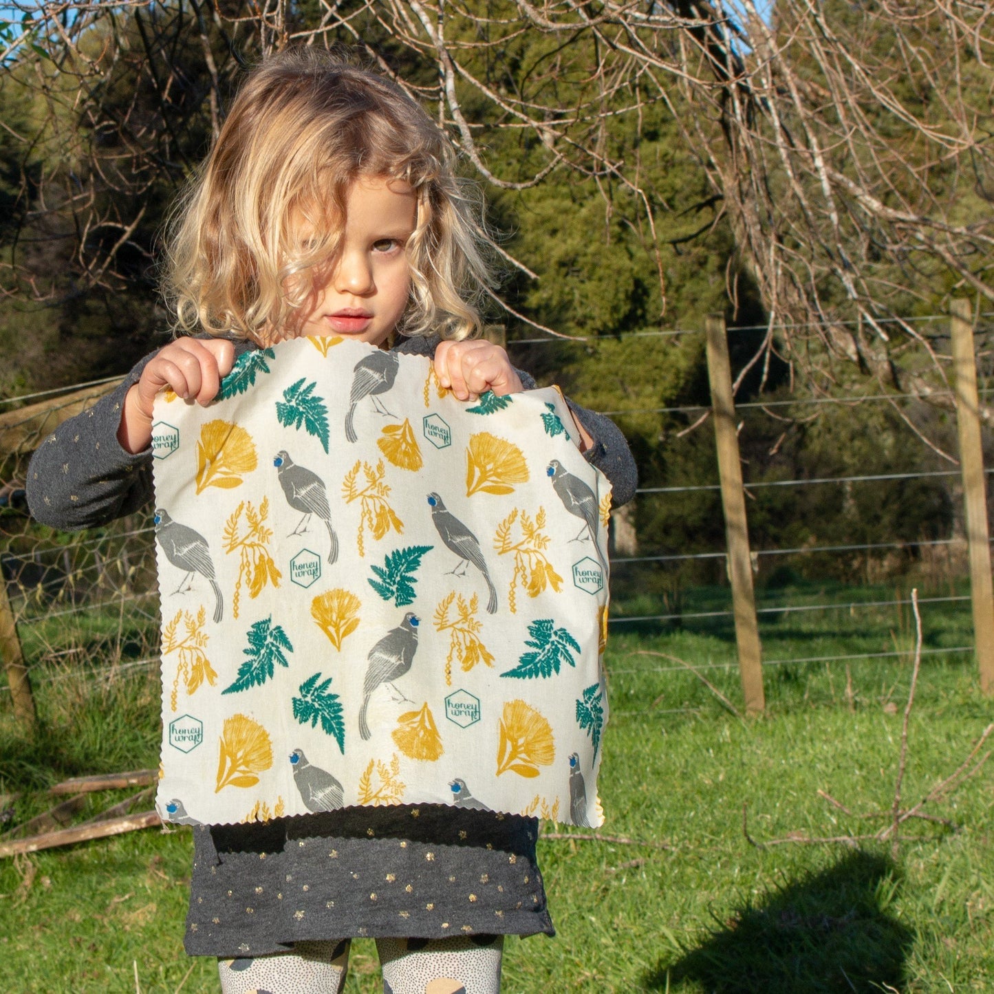 みつろうエコラップ Lサイズ (オーガニックコットン100%生地) Large Honeywrap (33cm x 35cm)